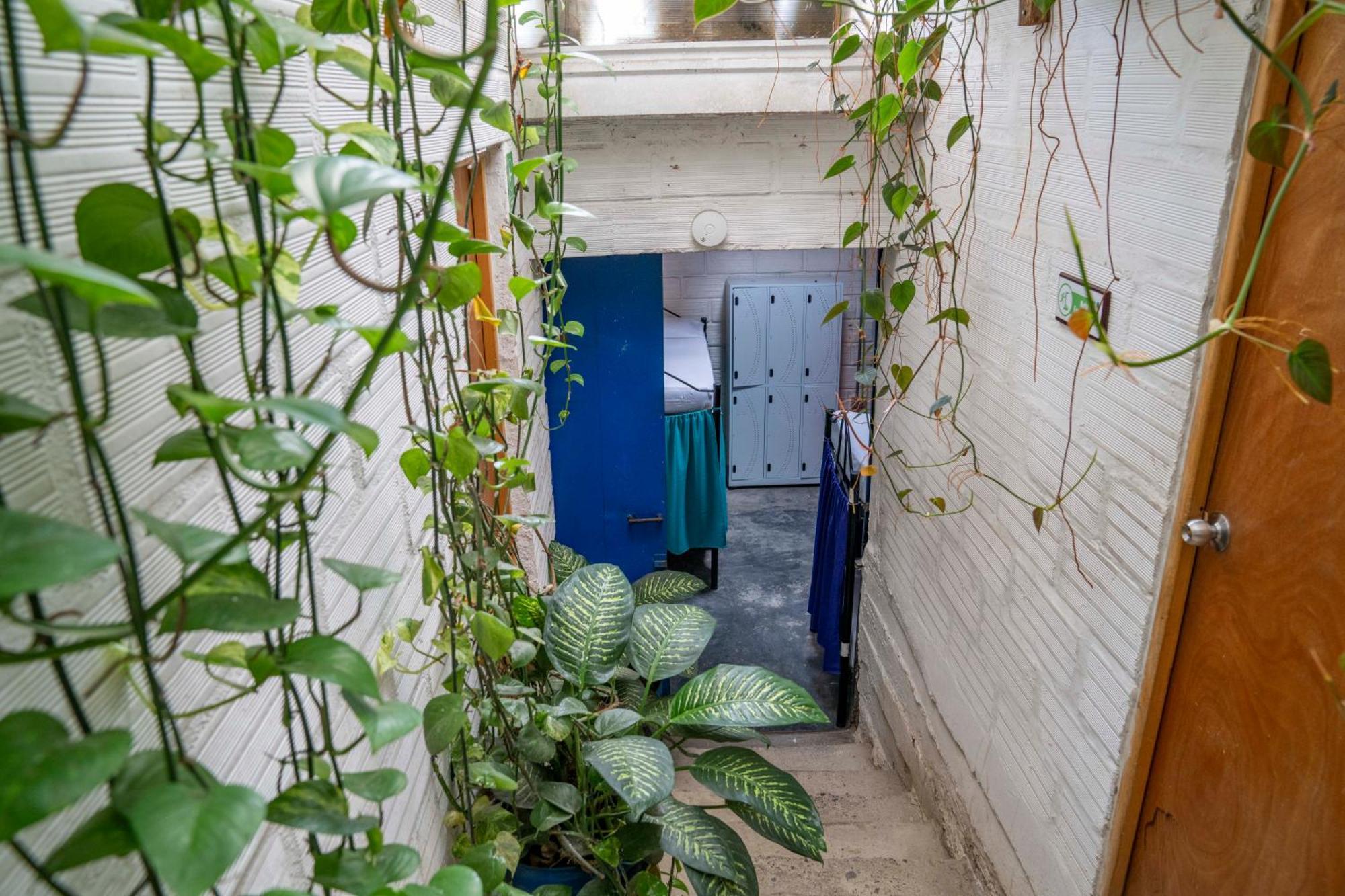 Hostal Casa Estacion ميديلين المظهر الخارجي الصورة