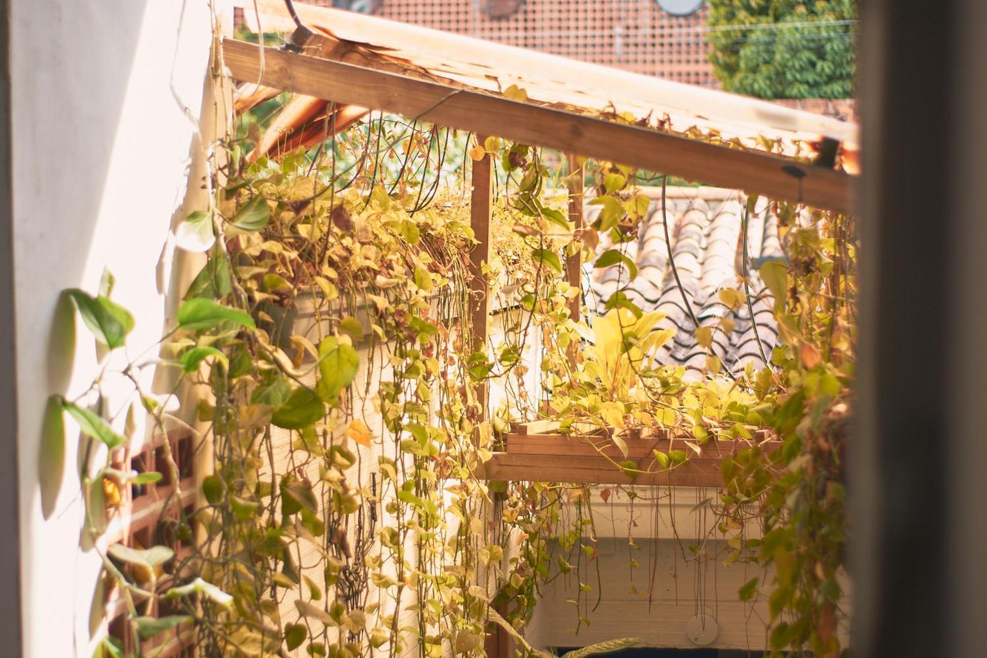 Hostal Casa Estacion ميديلين المظهر الخارجي الصورة